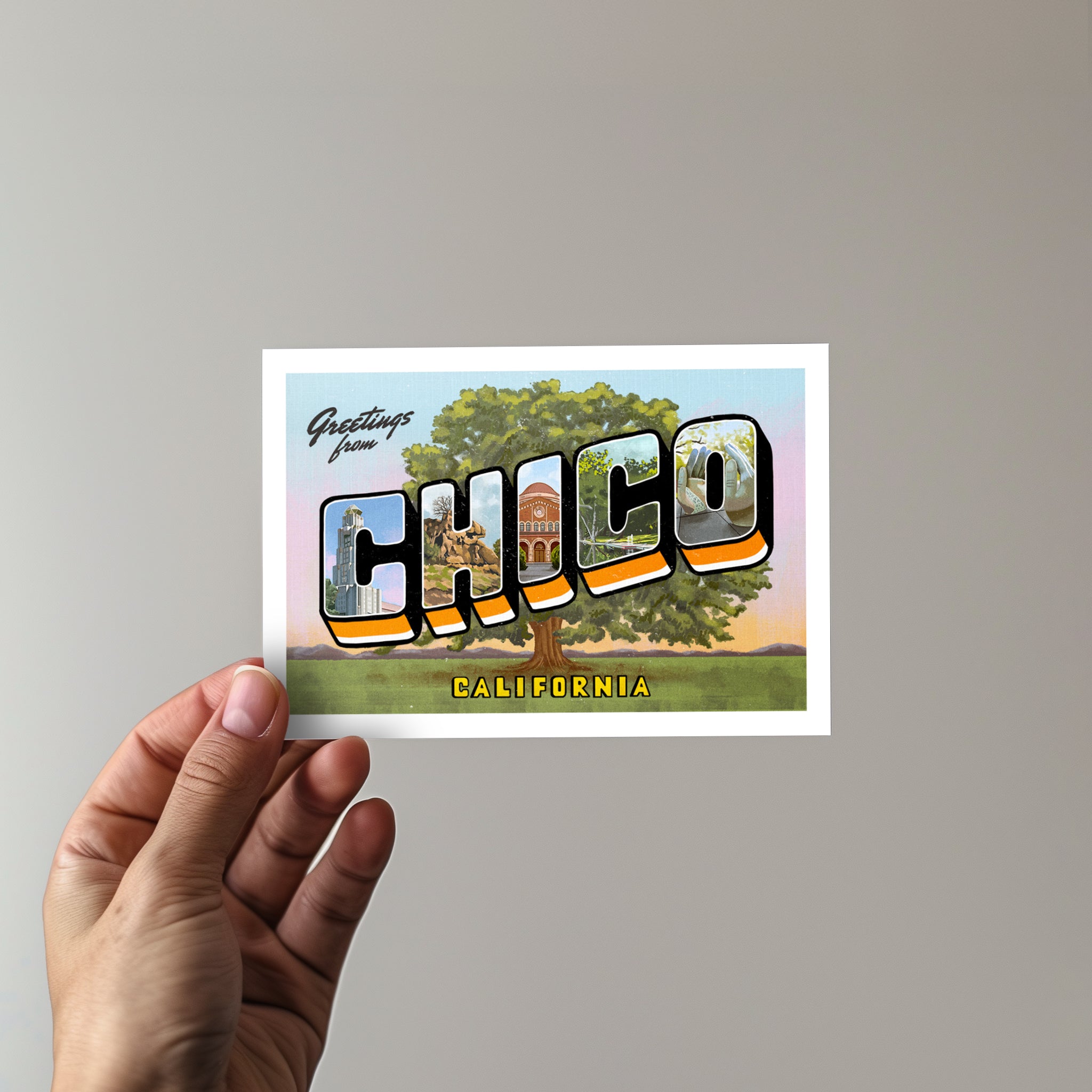 Greetings From Chico Vintage Style Postcard