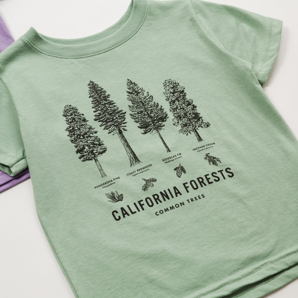 A light sage green short-sleeve t-shirt featuring a black line art graphic of four California forest trees with labels, and the text 'CALIFORNIA FORESTS COMMON TREES' printed below.