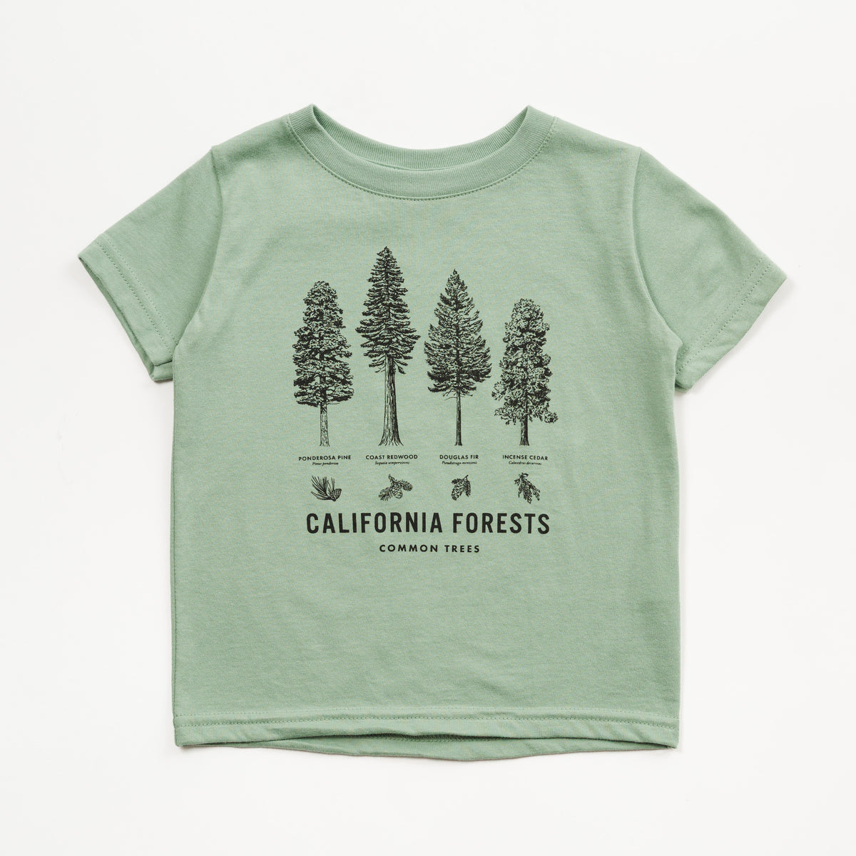 A light sage green short-sleeve t-shirt for toddlers, featuring a black graphic print of four California forest trees with labels and small woodland animal illustrations below, on a clean white background.