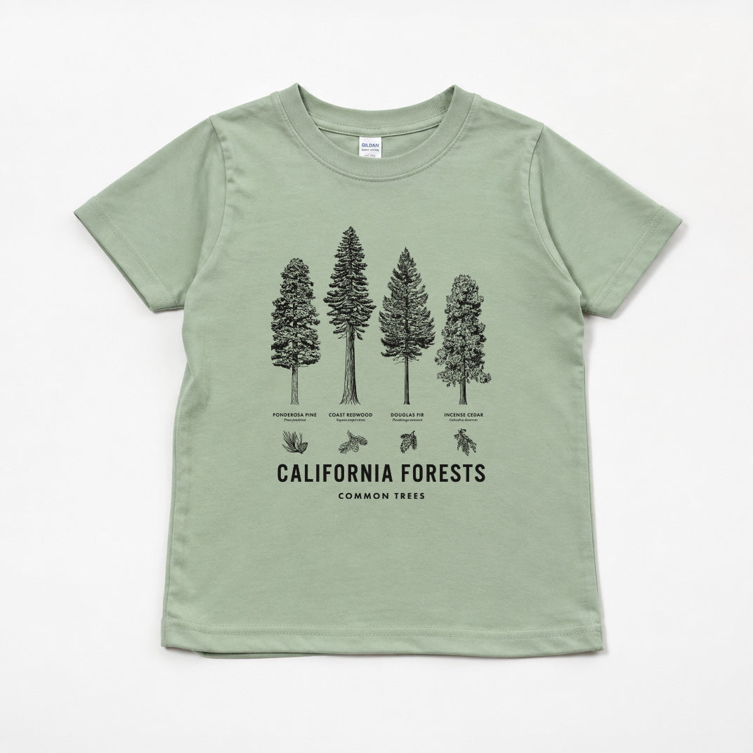 Sage green toddler tee flat laid on a white background. Shirt has Forest Trees while saying "California Forests Common Trees"