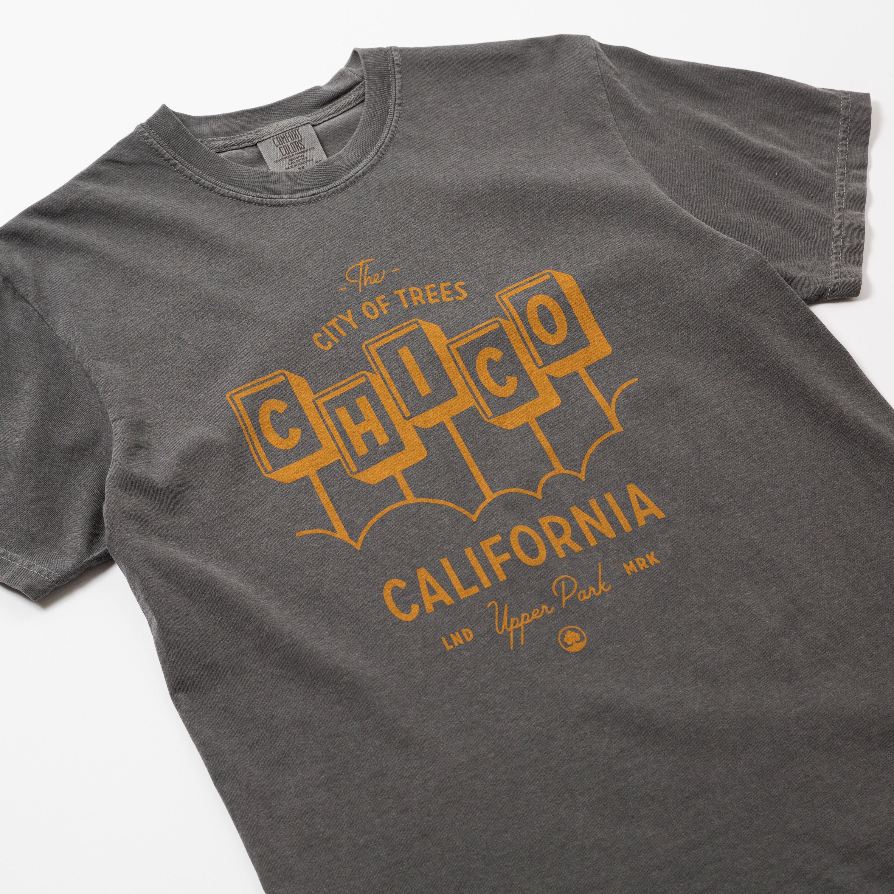 Gray t-shirt with 'Chico California' text and graphics on a white background