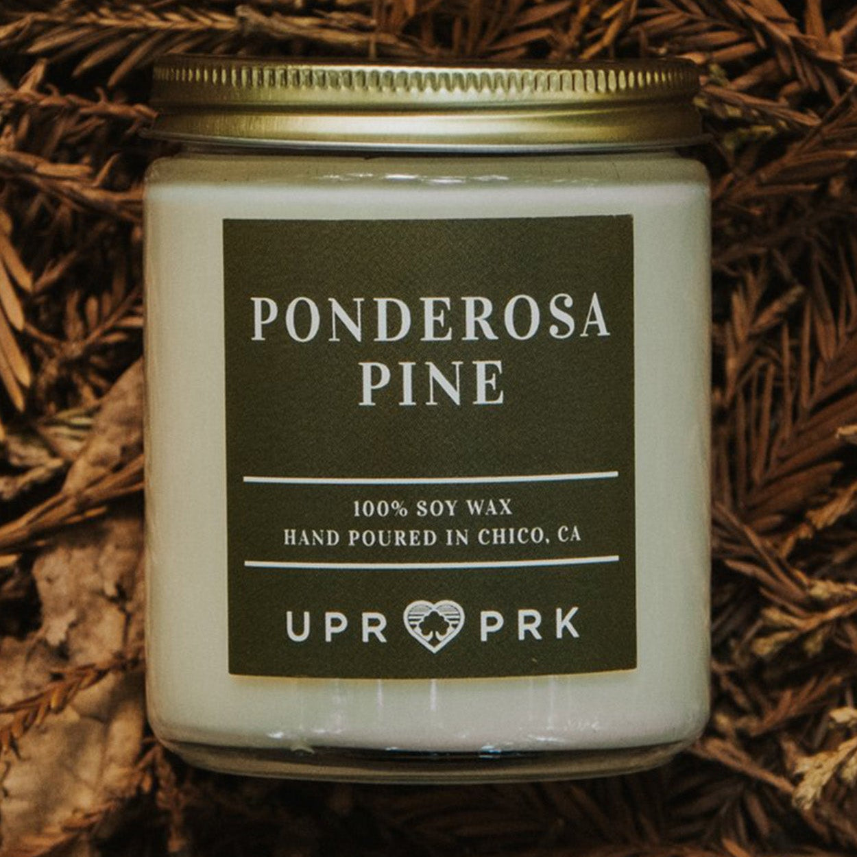 A white Ponderosa Pine scented soy wax candle in an 8oz jar, placed on a bed of pine needles.
