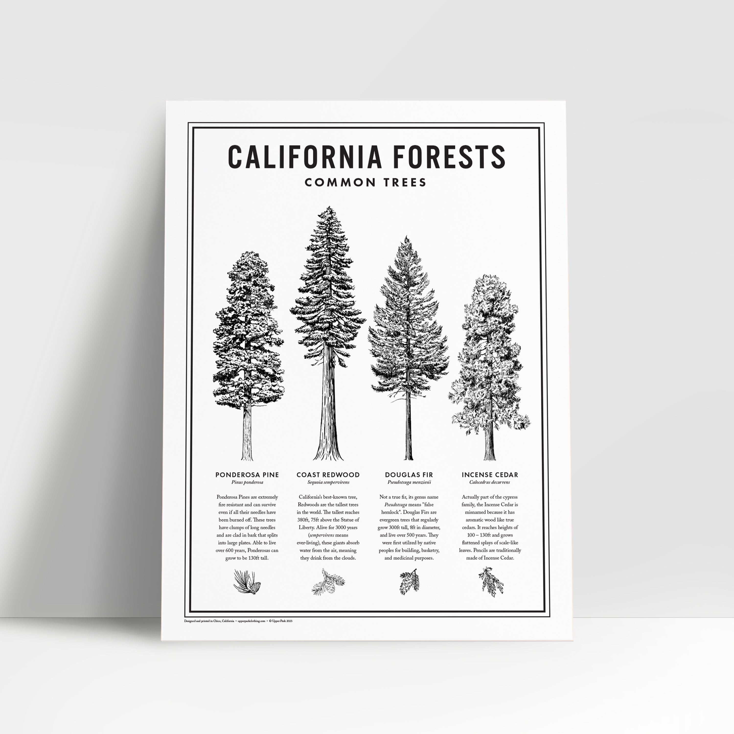 11x14 California Forests Poster in black and white from Upper Park Clothing in Chico, Ca