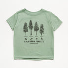A light sage green short-sleeve t-shirt for toddlers, featuring a black graphic print of four California forest trees with labels and small woodland animal illustrations below, on a clean white background.