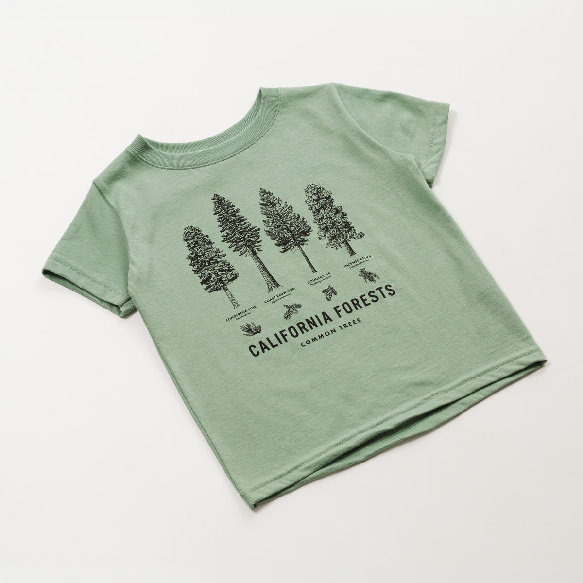 A sage green short-sleeve t-shirt for kids, featuring a black graphic print of four different tree species labeled California Forests, laid flat on a light off-white background.