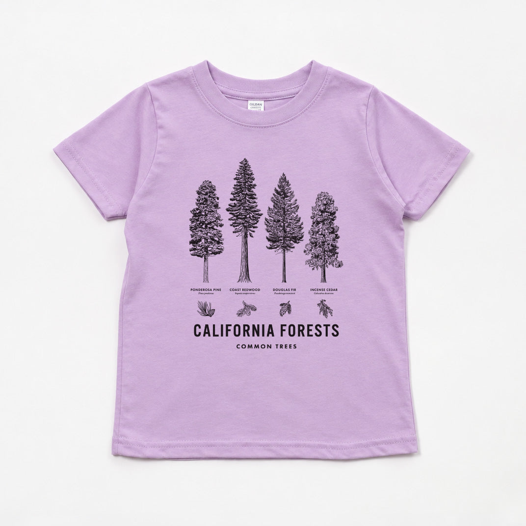 Sage green toddler tee flat laid on a white background. Shirt has Forest Trees while saying "California Forests Common Trees"