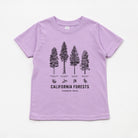Sage green toddler tee flat laid on a white background. Shirt has Forest Trees while saying "California Forests Common Trees"