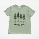 Sage green toddler tee flat laid on a white background. Shirt has Forest Trees while saying "California Forests Common Trees"