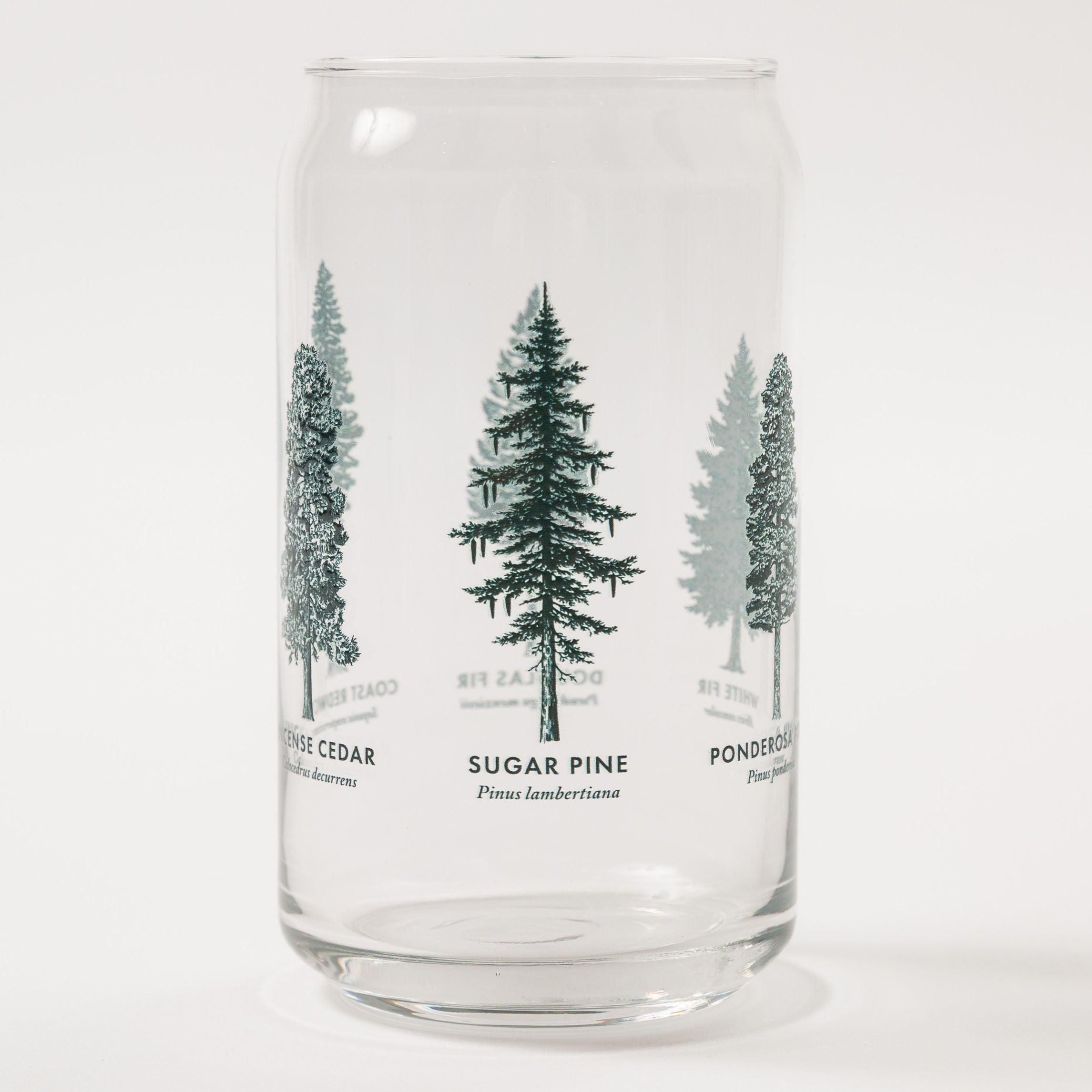 Clear glass tumbler with tree illustrations and names on a white - Upper Park California - Common Forest Treesbackground