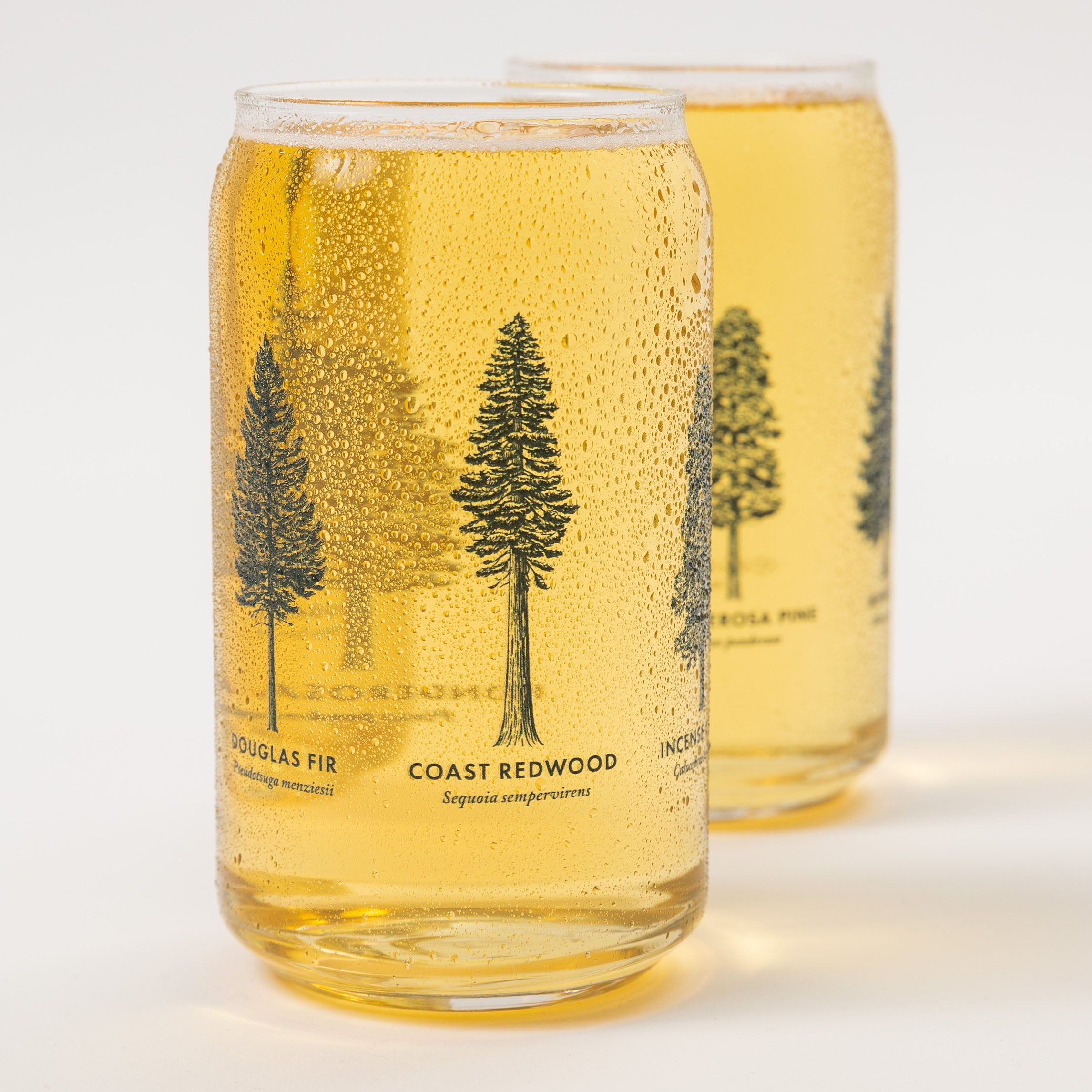 Two glass tumblers with tree illustrations and text on a white - Upper Park California - Common Forest Treesbackground