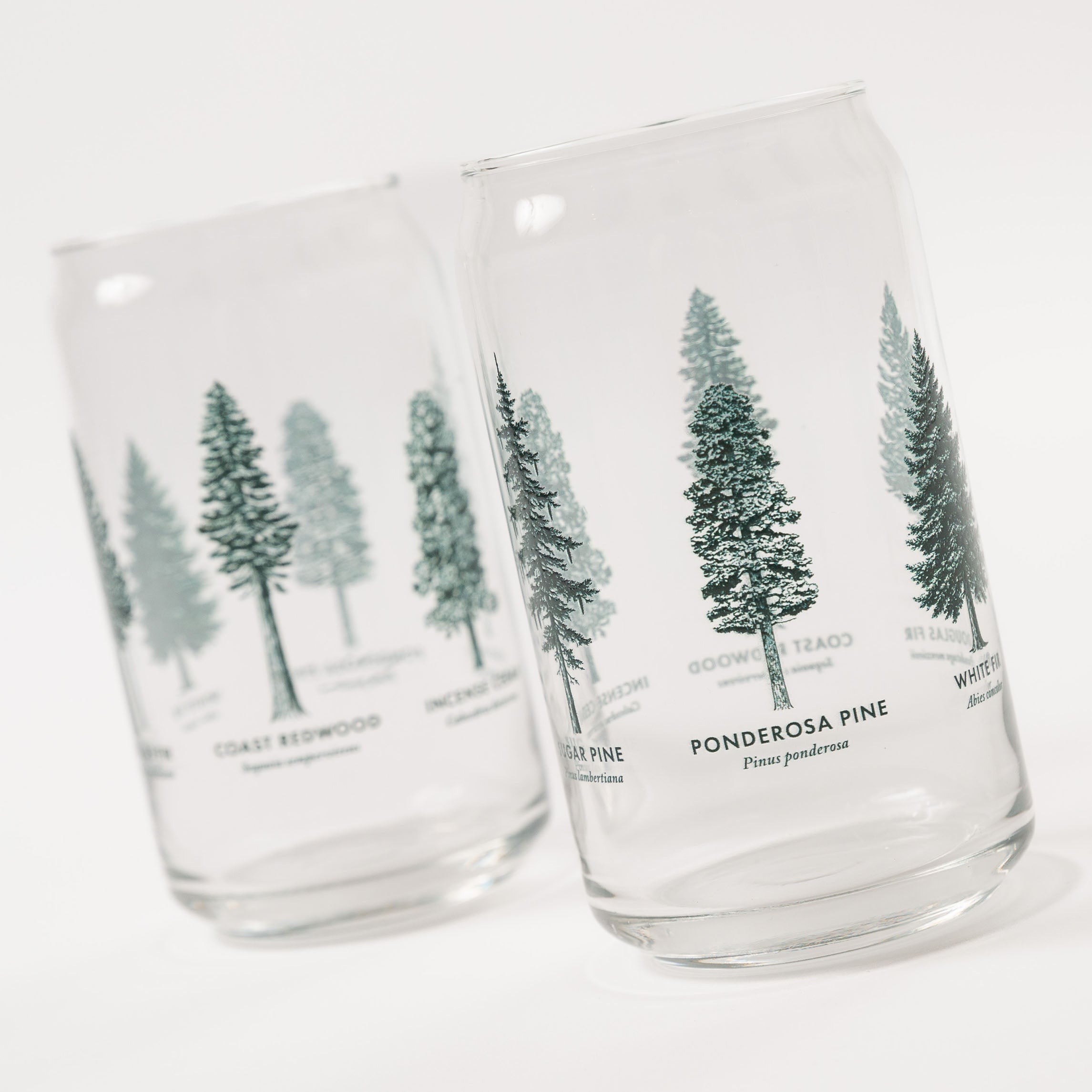 Two clear glasses with tree illustrations and names on a white background - Upper Park California - Common Forest Trees