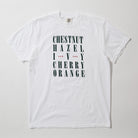 Chico Streets Shirt - Downtown Chico California College Town - Upper Park Clothing 